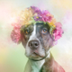 Illustration for article titled Dogs With Flower Crowns Promote Pit Bull Adoption